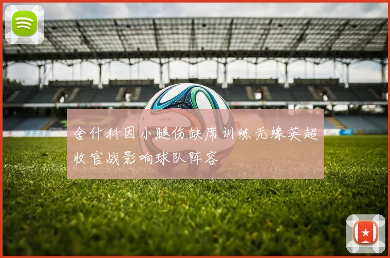 舍什科因小腿伤缺席训练无缘英超收官战影响球队阵容